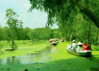 Đặc điểm của khu vực đồng bằng sông Cửu Long 