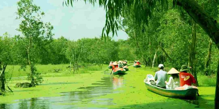 Đặc điểm của khu vực đồng bằng sông Cửu Long