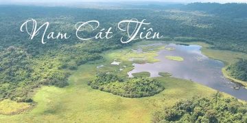 Bỏ túi kinh nghiệm khi ghé thăm Vườn Nam Cát Tiên