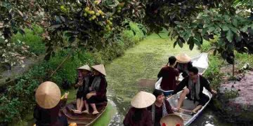 Trải nghiệm  đi thuyền khám phá vườn trái cây Lái Thiêu