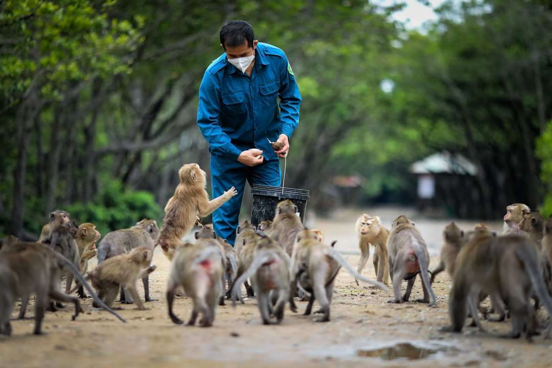 Có nhiều cách lựa chọn thời điểm thích hợp thăm đảo 