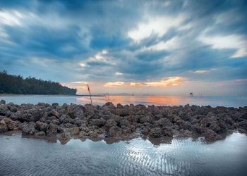 Các món ăn hải sản hấp dẫn tại hòn đảo xinh đẹp