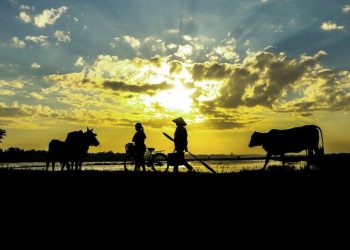 Bình minh phá Tam Giang rất đáng trải nghiệm