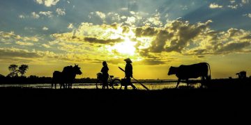 Bình minh phá Tam Giang rất đáng trải nghiệm