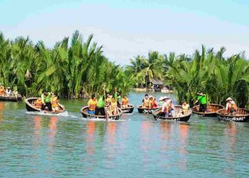 Nên đến Rừng dừa Bảy Mẫu vào mùa xuân và mùa hạ
