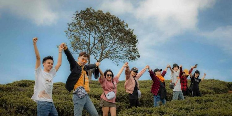 Check in đồi chè Cầu Đất với góc view không thể bỏ qua