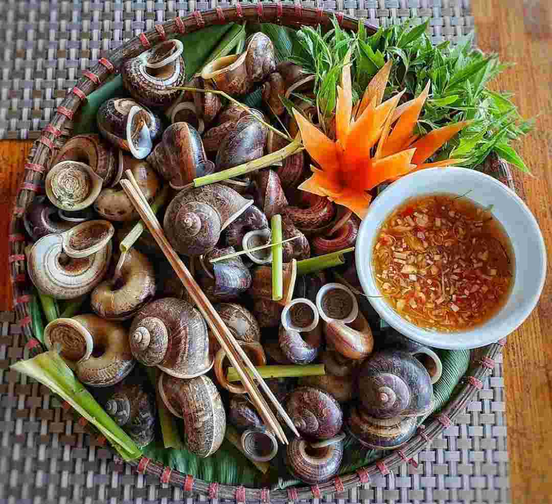 Ốc núi Ninh Bình