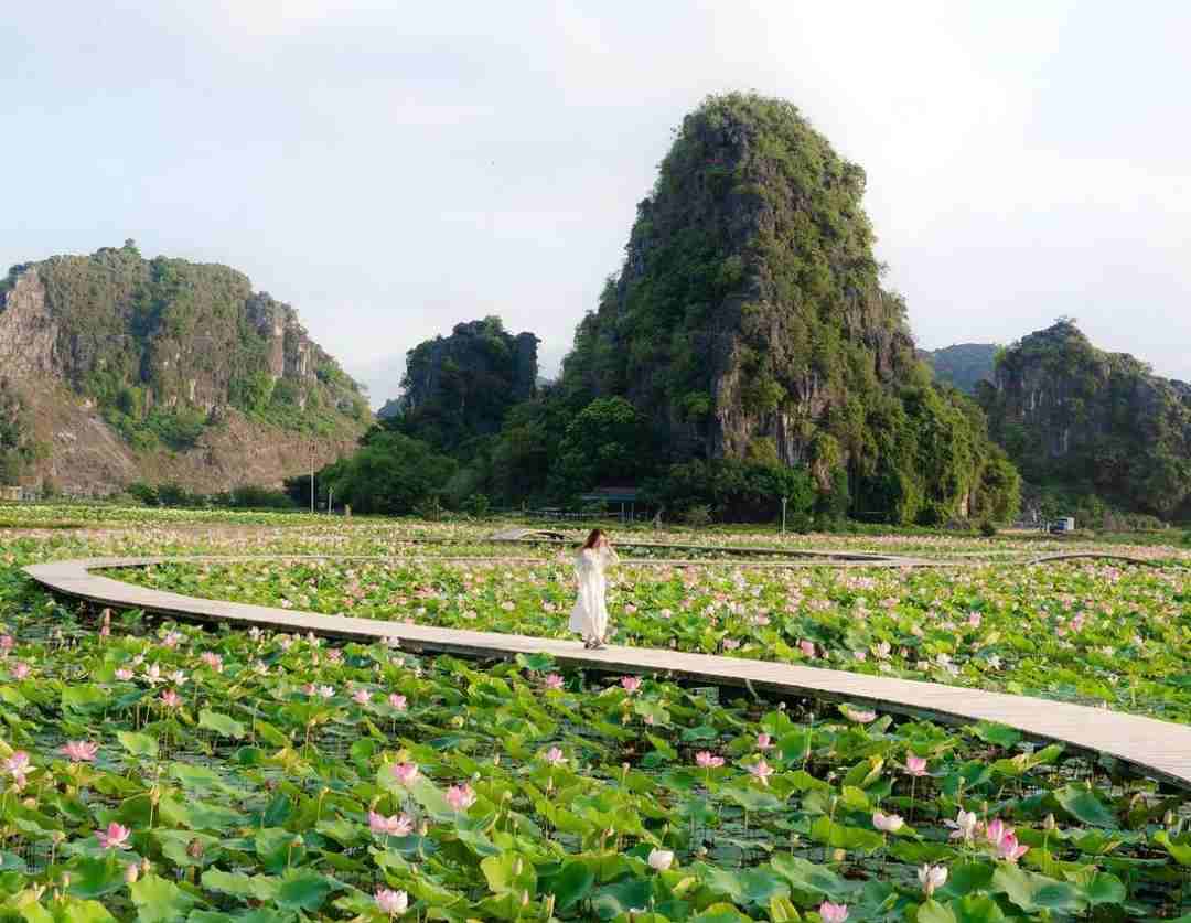 Truyền thuyết về Hang Múa Ninh Bình