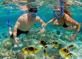 Lặn san hô ở đảo