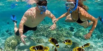 Lặn san hô ở đảo