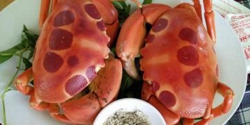 Cua mặt trăng đặc sản Cù Lao Câu