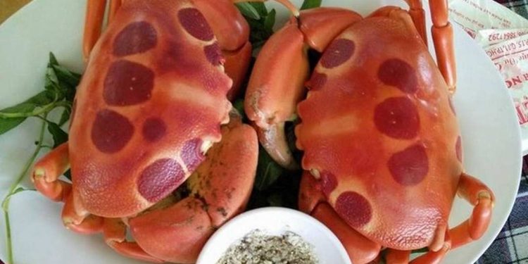 Cua mặt trăng đặc sản Cù Lao Câu