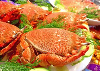 Cua huỳnh đế món ăn đặc sản ở đảo