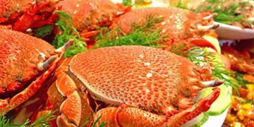 Cua huỳnh đế món ăn đặc sản ở đảo