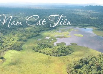 Bỏ túi kinh nghiệm khi ghé thăm Vườn Nam Cát Tiên