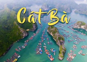 Thông tin chung về Đảo Cát Bà