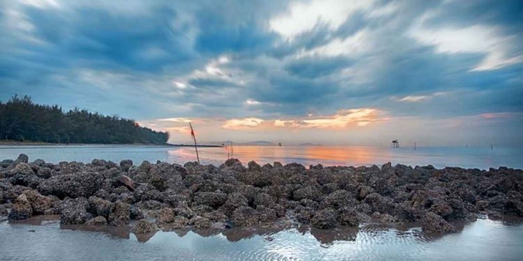 Các món ăn hải sản hấp dẫn tại hòn đảo xinh đẹp