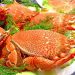Cua huỳnh đế món ăn đặc sản ở đảo
